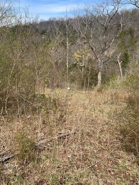 265 Lakeview Drive Property Photo