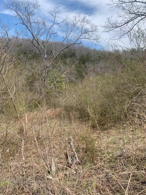265 Lakeview Drive Property Photo 3
