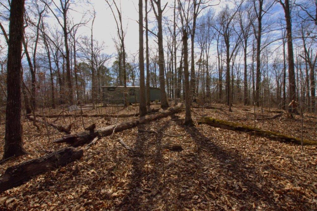 10 Acres Big Sugar Creek Road Property Photo 18