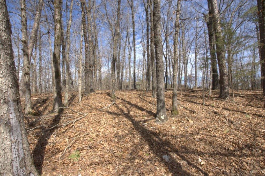 10 Acres Big Sugar Creek Road Property Photo 19