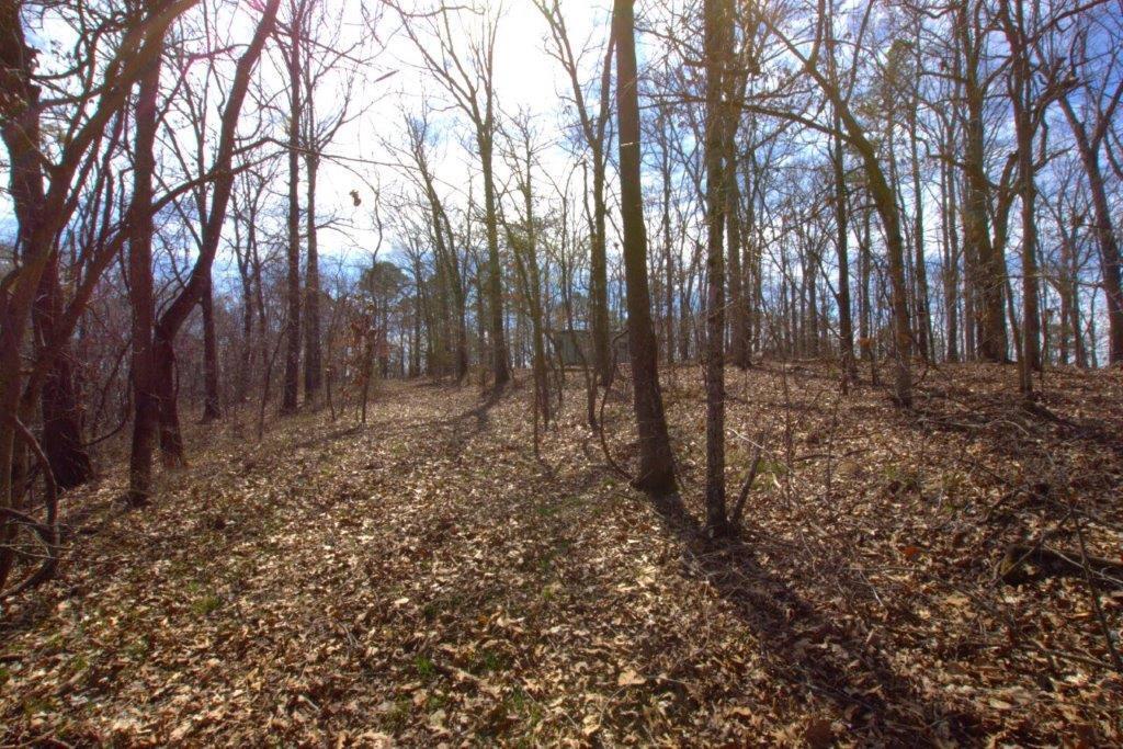 10 Acres Big Sugar Creek Road Property Photo 20