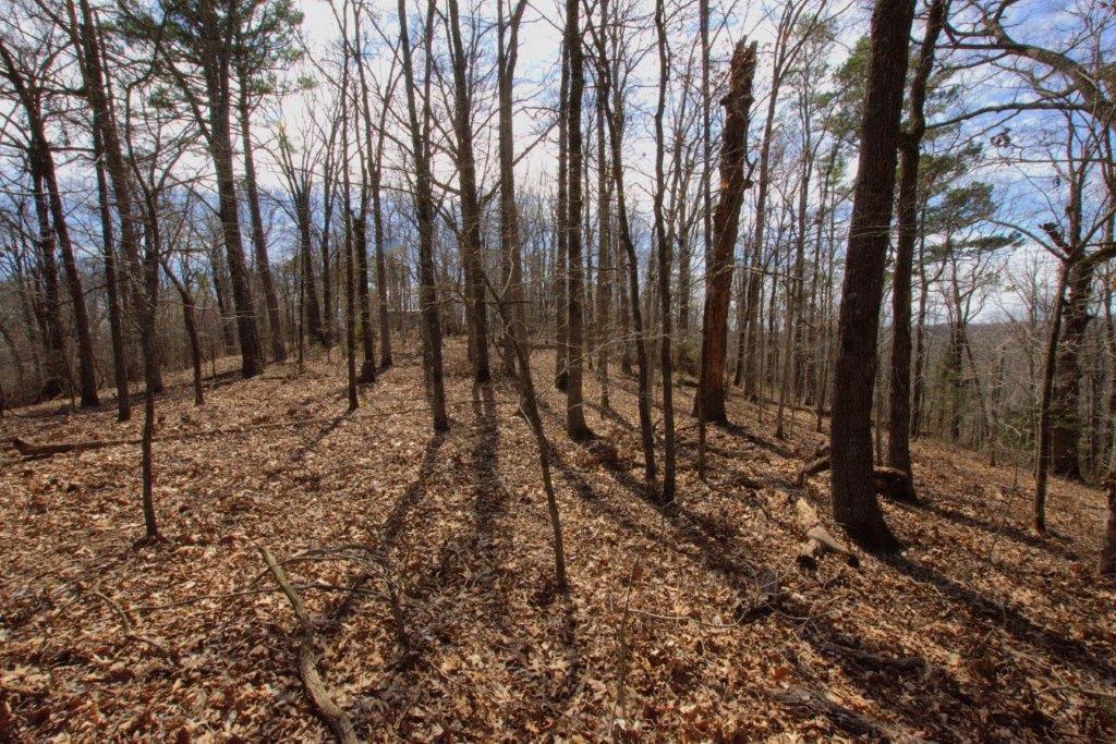 10 Acres Big Sugar Creek Road Property Photo 21