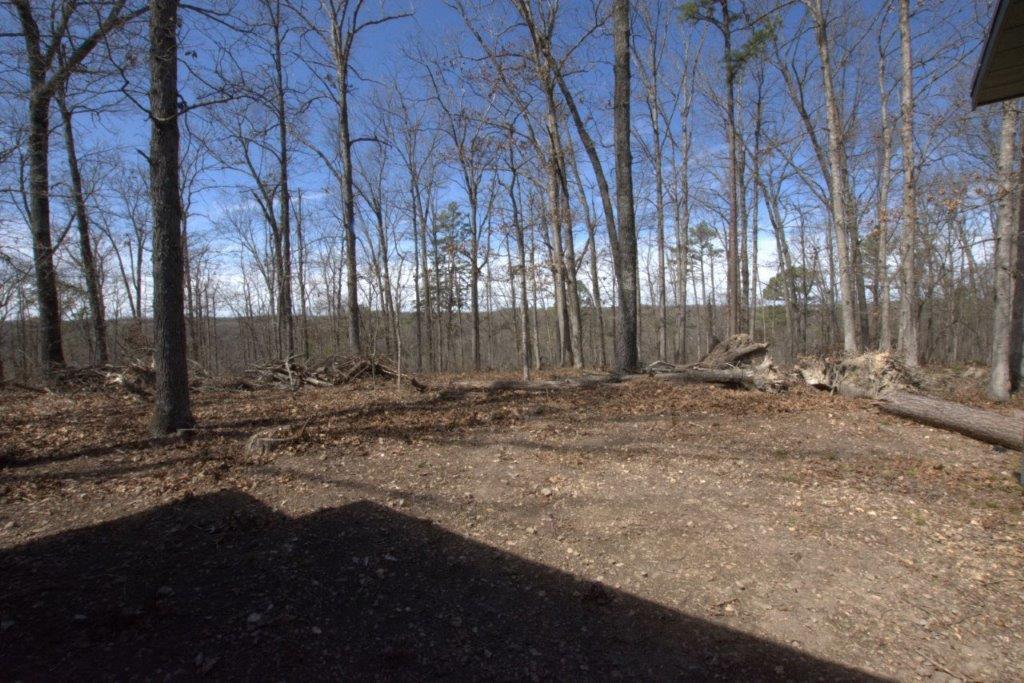 10 Acres Big Sugar Creek Road Property Photo 22