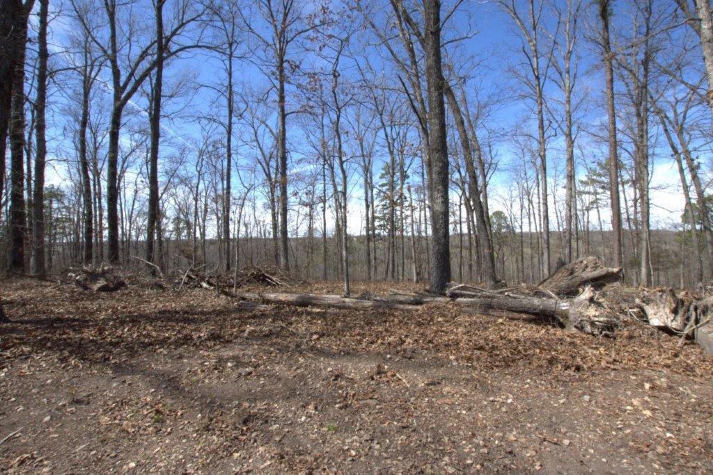 10 Acres Big Sugar Creek Road Property Photo 23