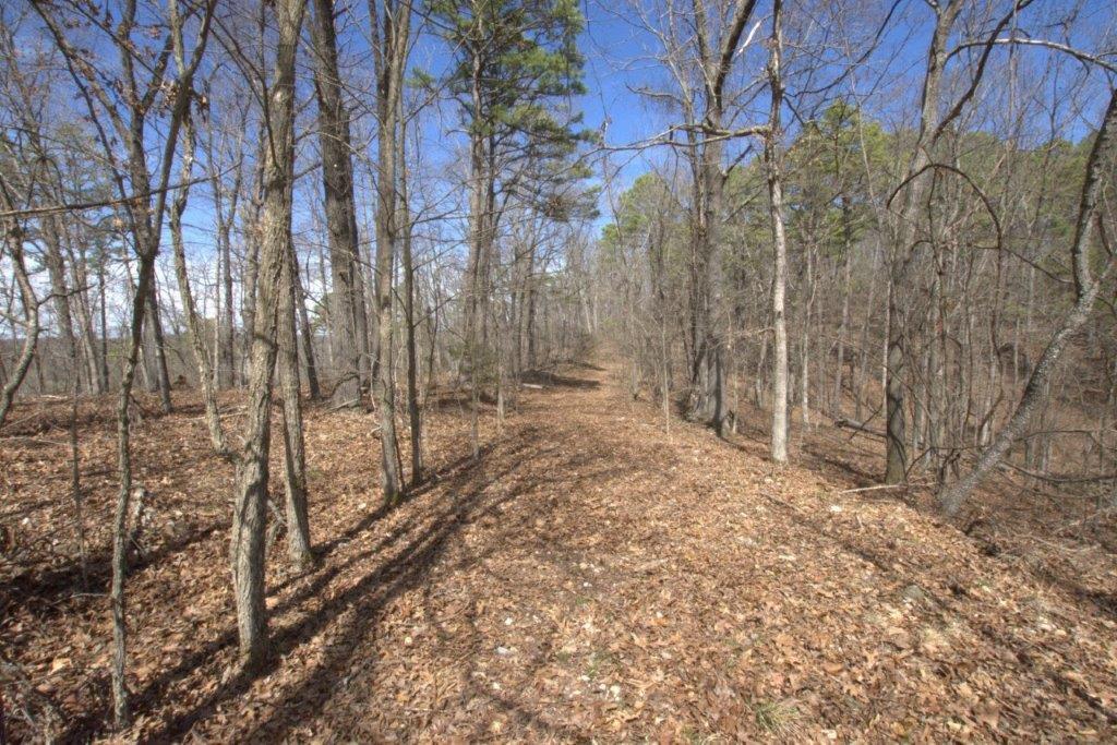 10 Acres Big Sugar Creek Road Property Photo 25