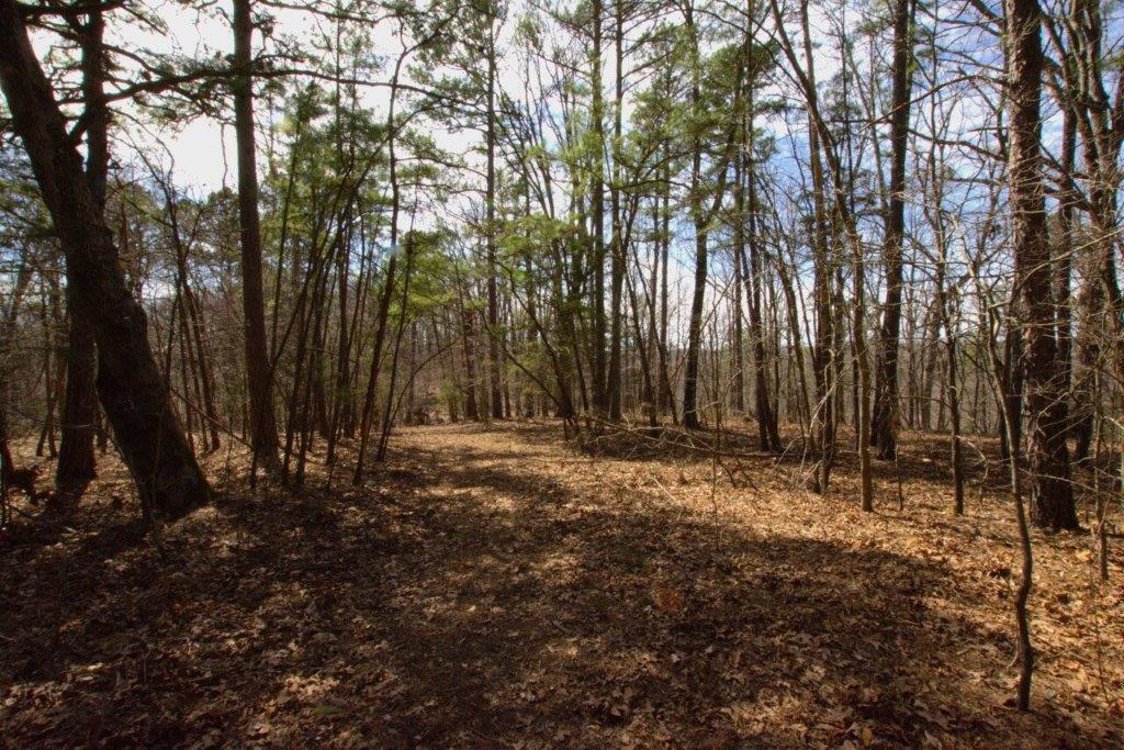 10 Acres Big Sugar Creek Road Property Photo 26