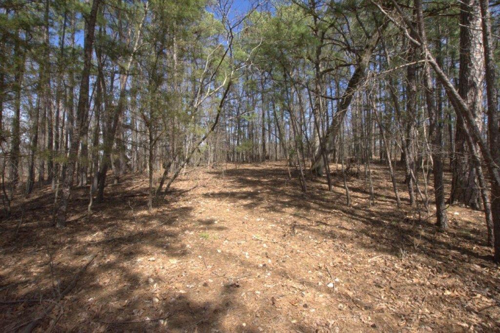 10 Acres Big Sugar Creek Road Property Photo 27