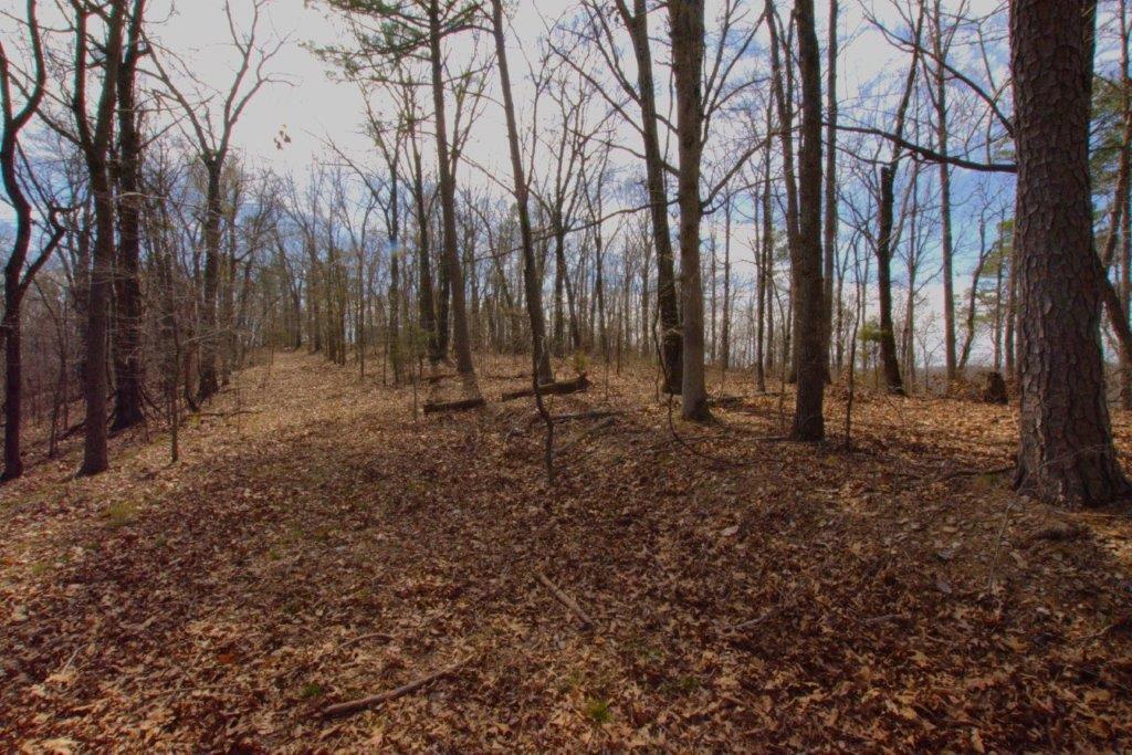 10 Acres Big Sugar Creek Road Property Photo 28