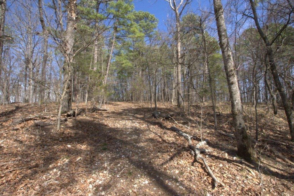 10 Acres Big Sugar Creek Road Property Photo 29