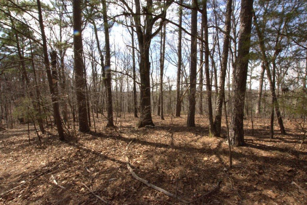 10 Acres Big Sugar Creek Road Property Photo 31