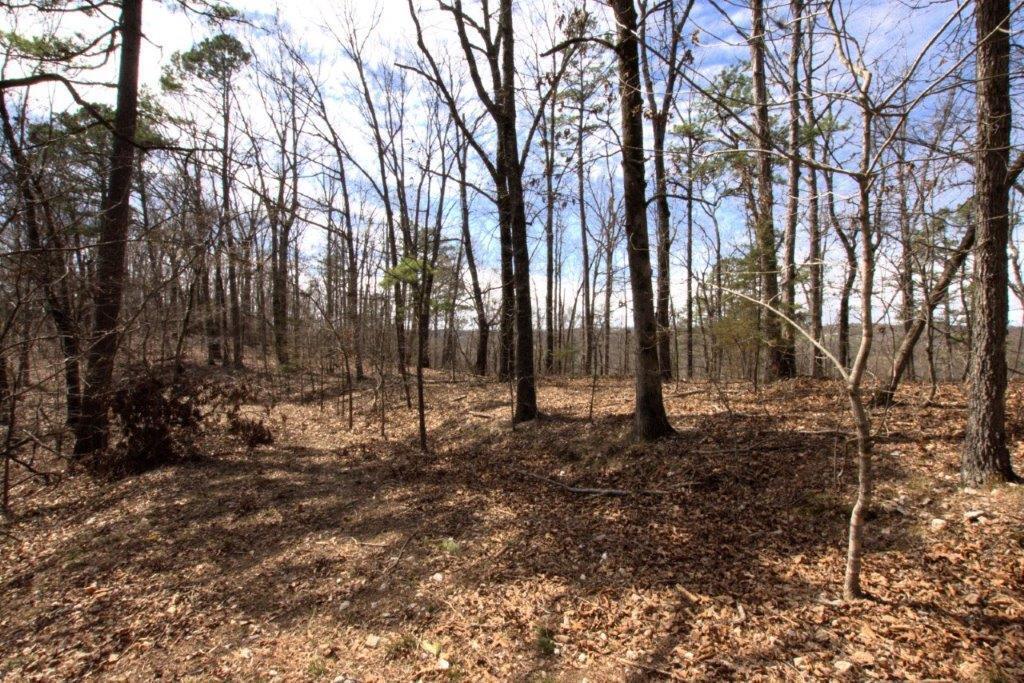 10 Acres Big Sugar Creek Road Property Photo 32