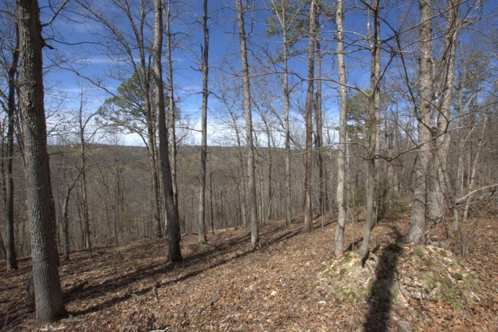 10 Acres Big Sugar Creek Road Property Photo 33