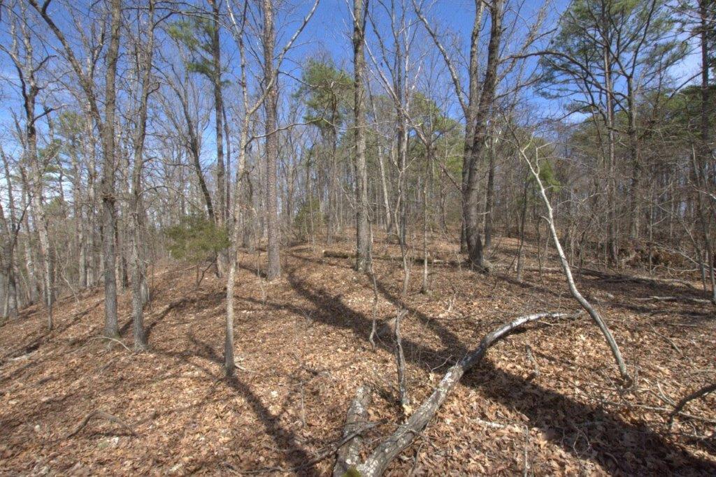 10 Acres Big Sugar Creek Road Property Photo 34