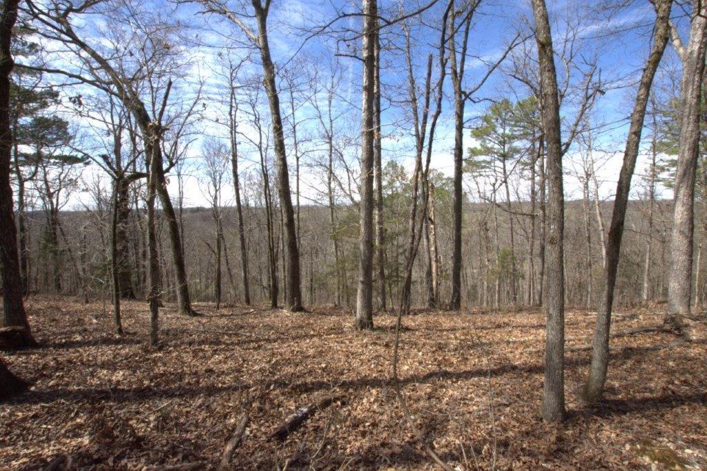10 Acres Big Sugar Creek Road Property Photo 35