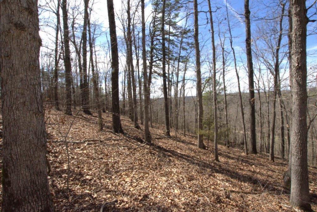 10 Acres Big Sugar Creek Road Property Photo 36