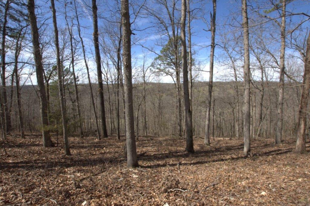 10 Acres Big Sugar Creek Road Property Photo 38