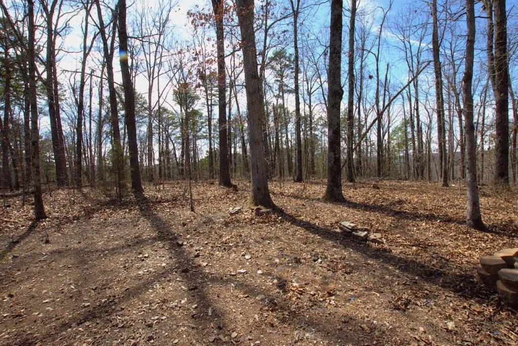 10 Acres Big Sugar Creek Road Property Photo 39