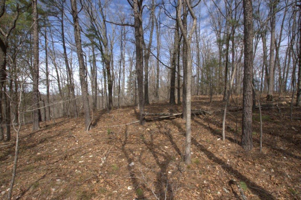 10 Acres Big Sugar Creek Road Property Photo 40