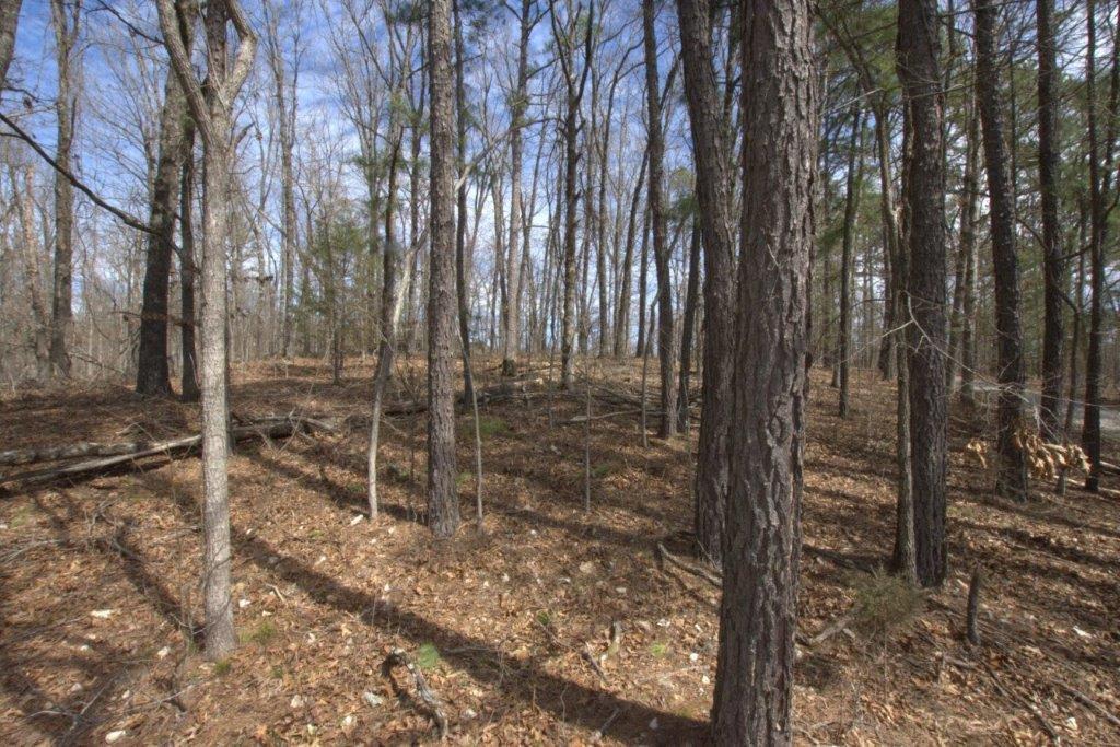 10 Acres Big Sugar Creek Road Property Photo 41