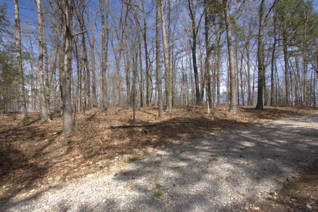 10 Acres Big Sugar Creek Road Property Photo 42