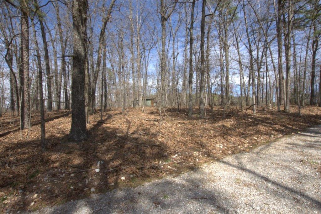 10 Acres Big Sugar Creek Road Property Photo 43