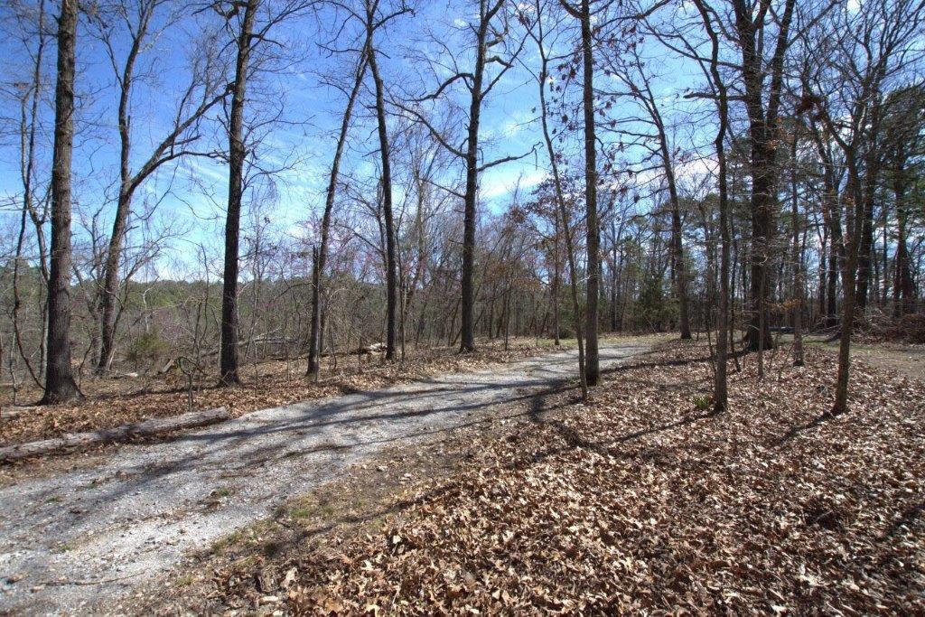 10 Acres Big Sugar Creek Road Property Photo 44