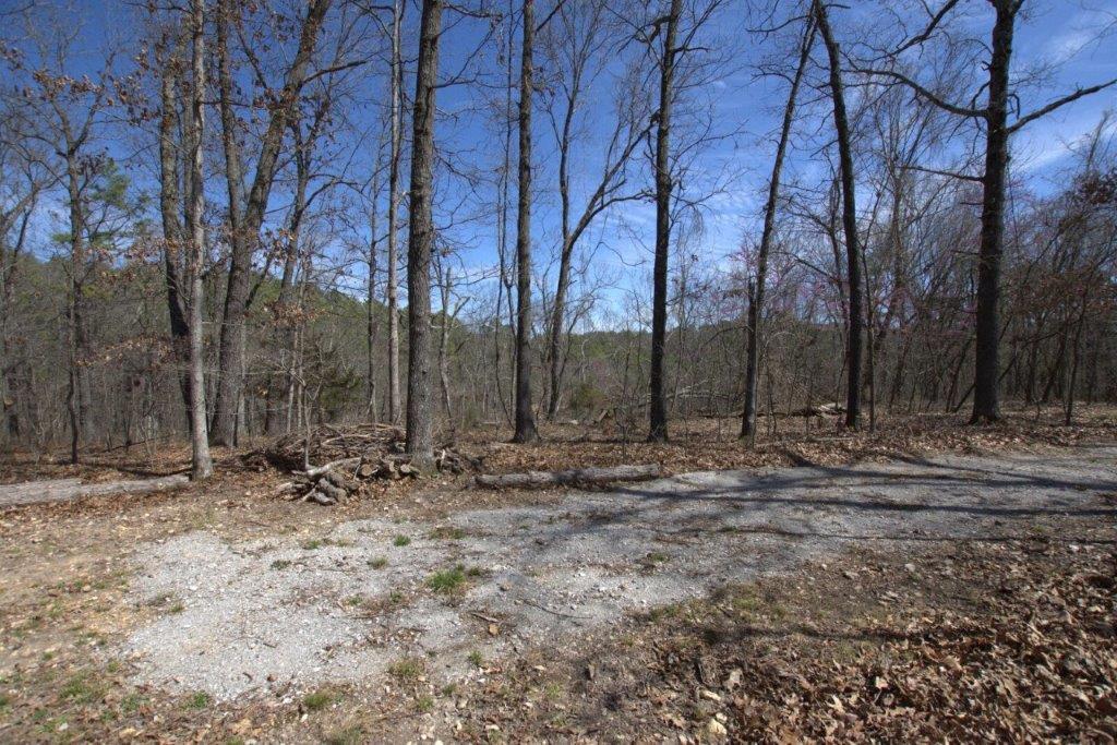 10 Acres Big Sugar Creek Road Property Photo 45