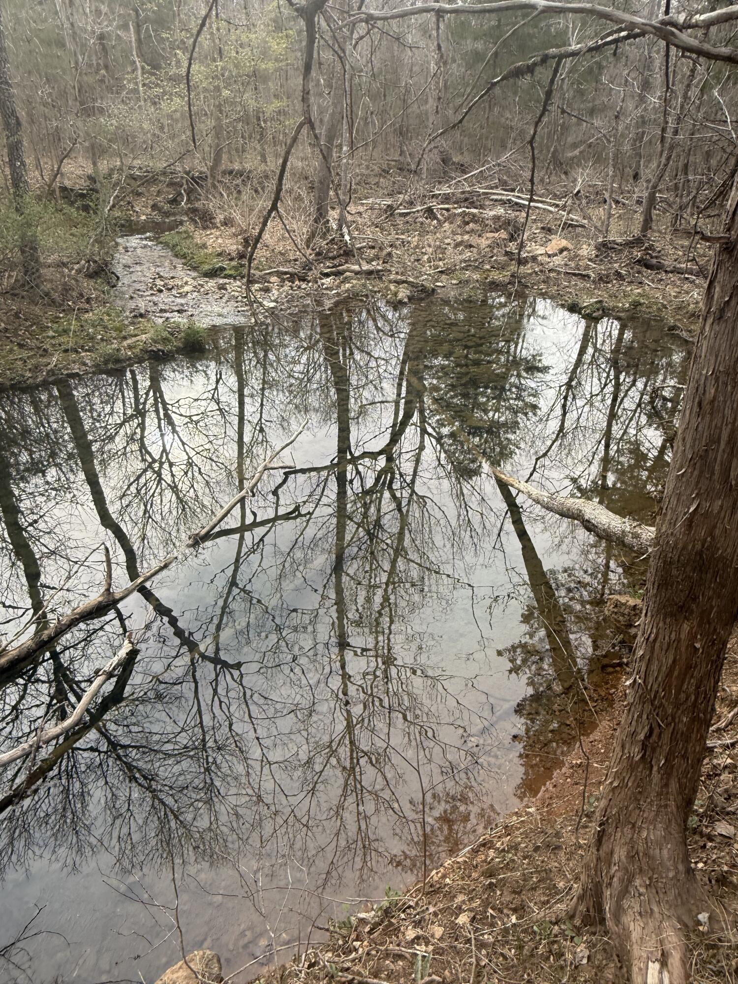 Ozark Not In List Real Estate Listings Main Image