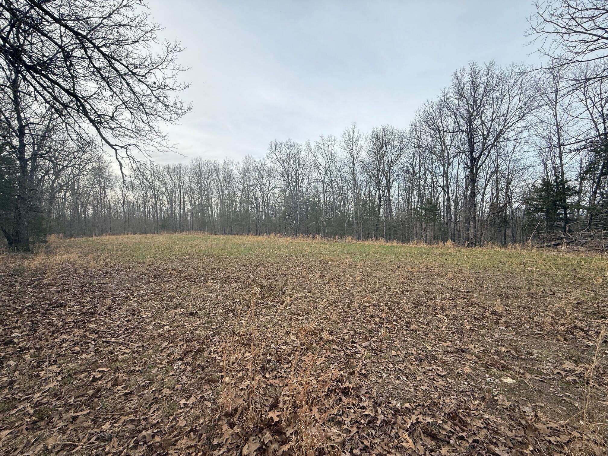 000 County Road 544 Property Photo 10