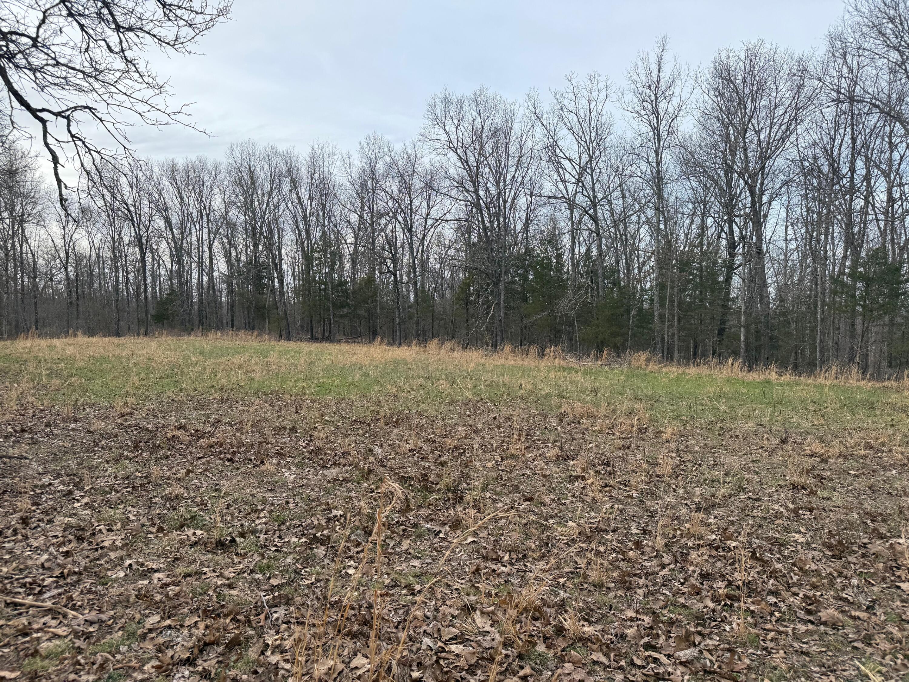 000 County Road 544 Property Photo 11