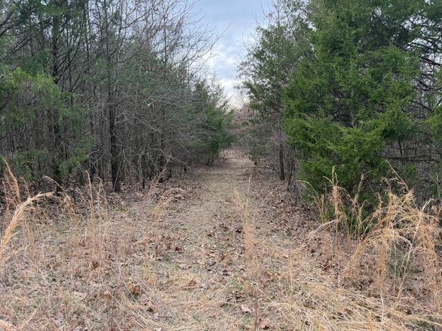 000 County Road 544 Property Photo 14