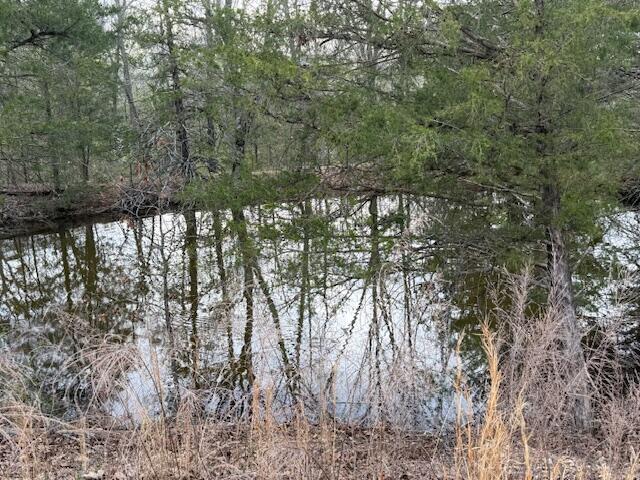 000 County Road 544 Property Photo 19