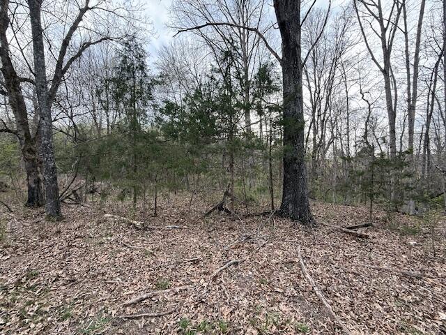 000 County Road 544 Property Photo 22