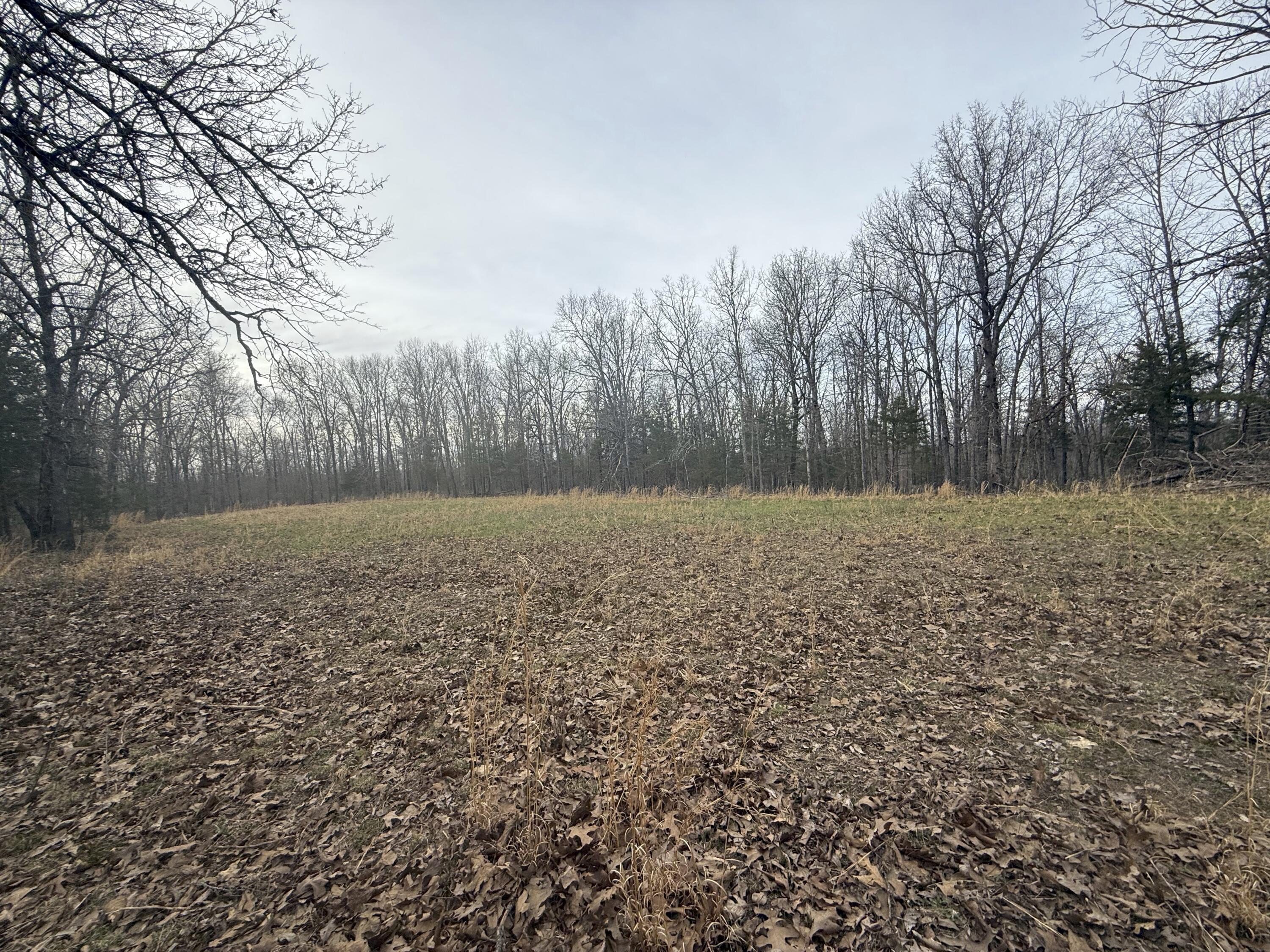 000 County Road 544 Property Photo 64