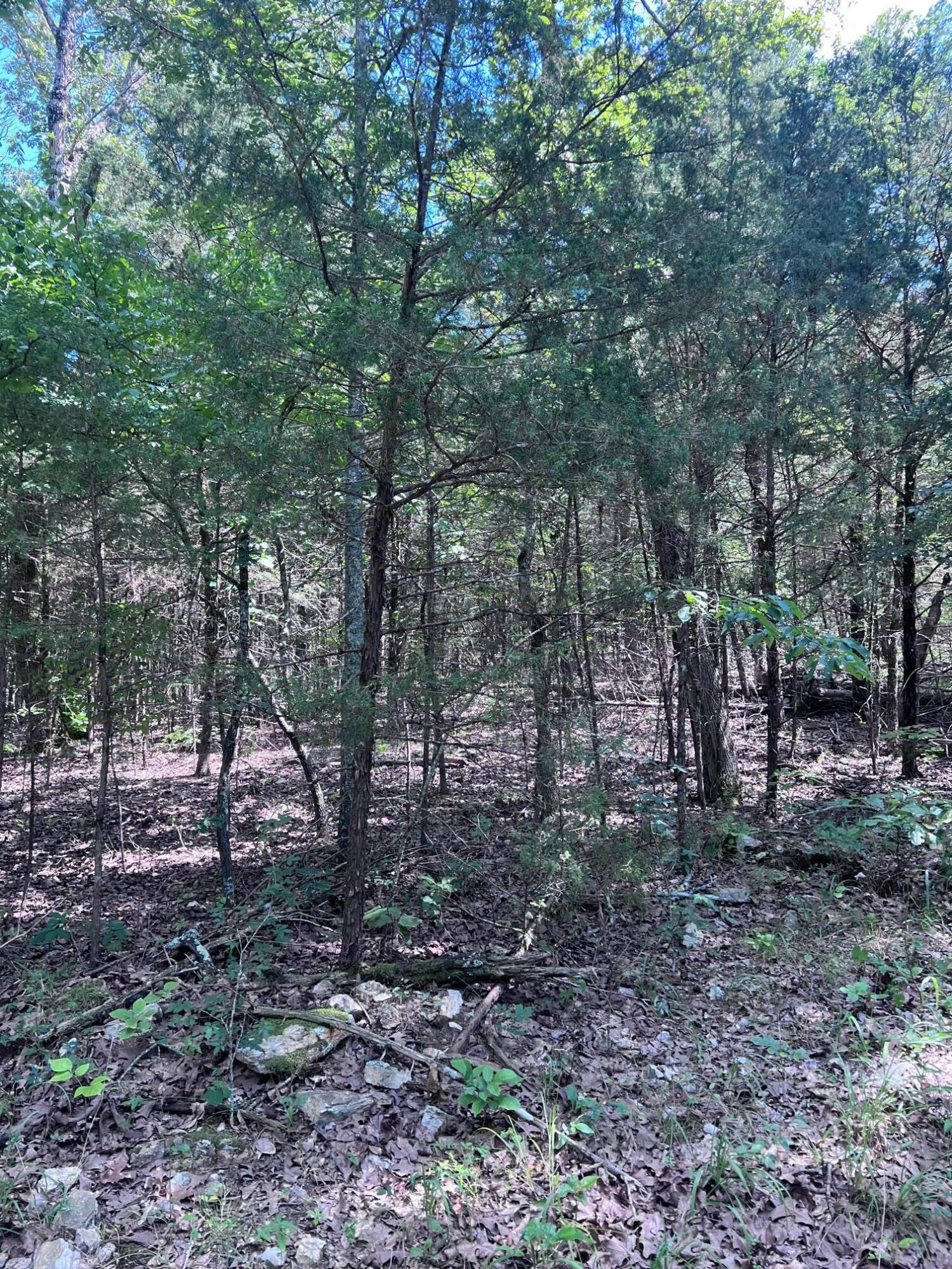 000 County Road 544 Property Photo 71