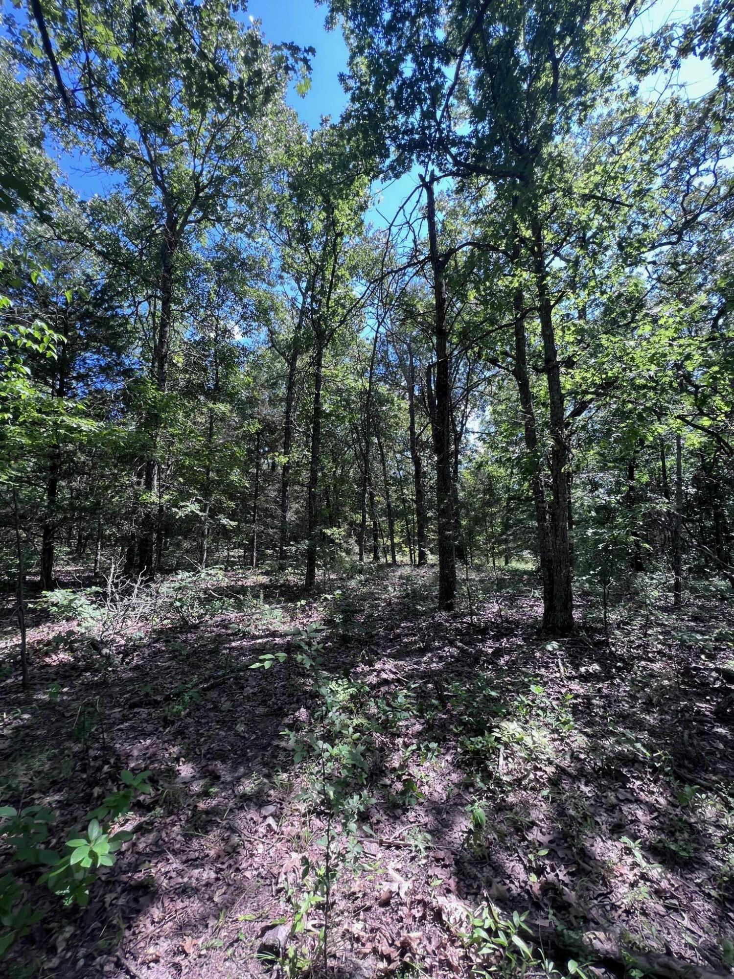 000 County Road 544 Property Photo 78