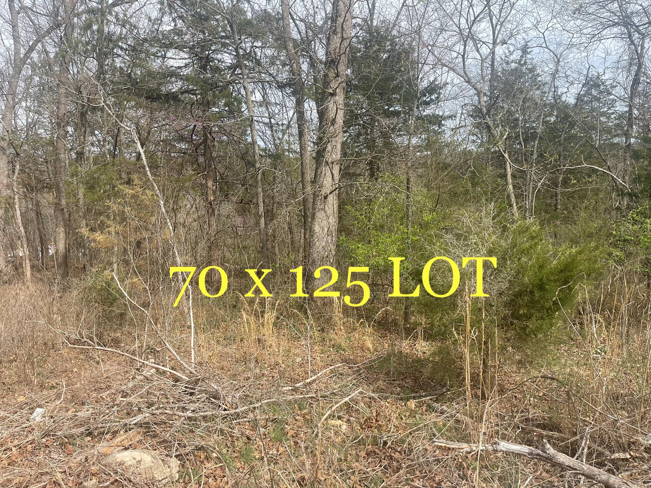 Lot 11 Mach Lane Property Photo 2