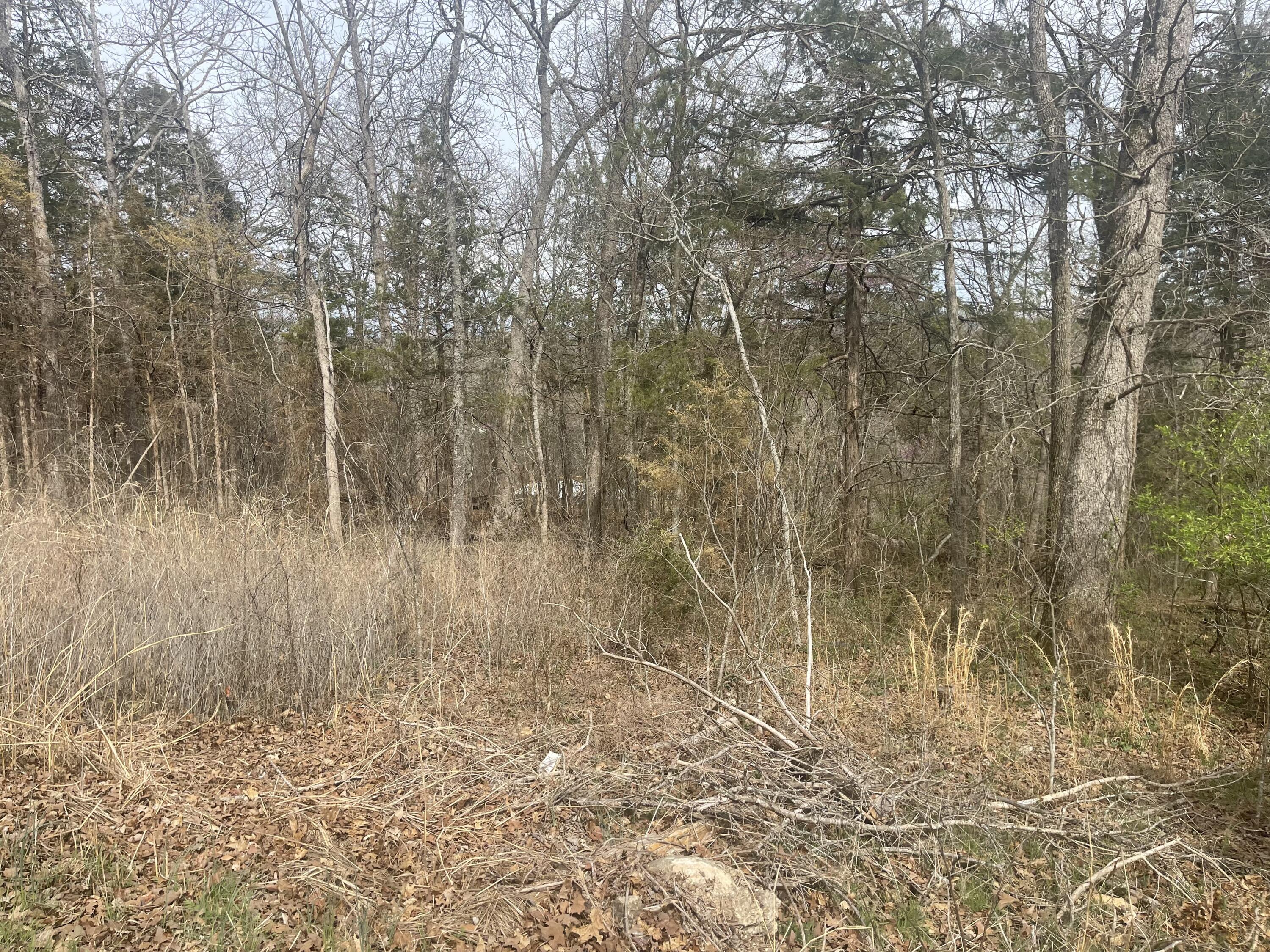 Lot 11 Mach Lane Property Photo 4