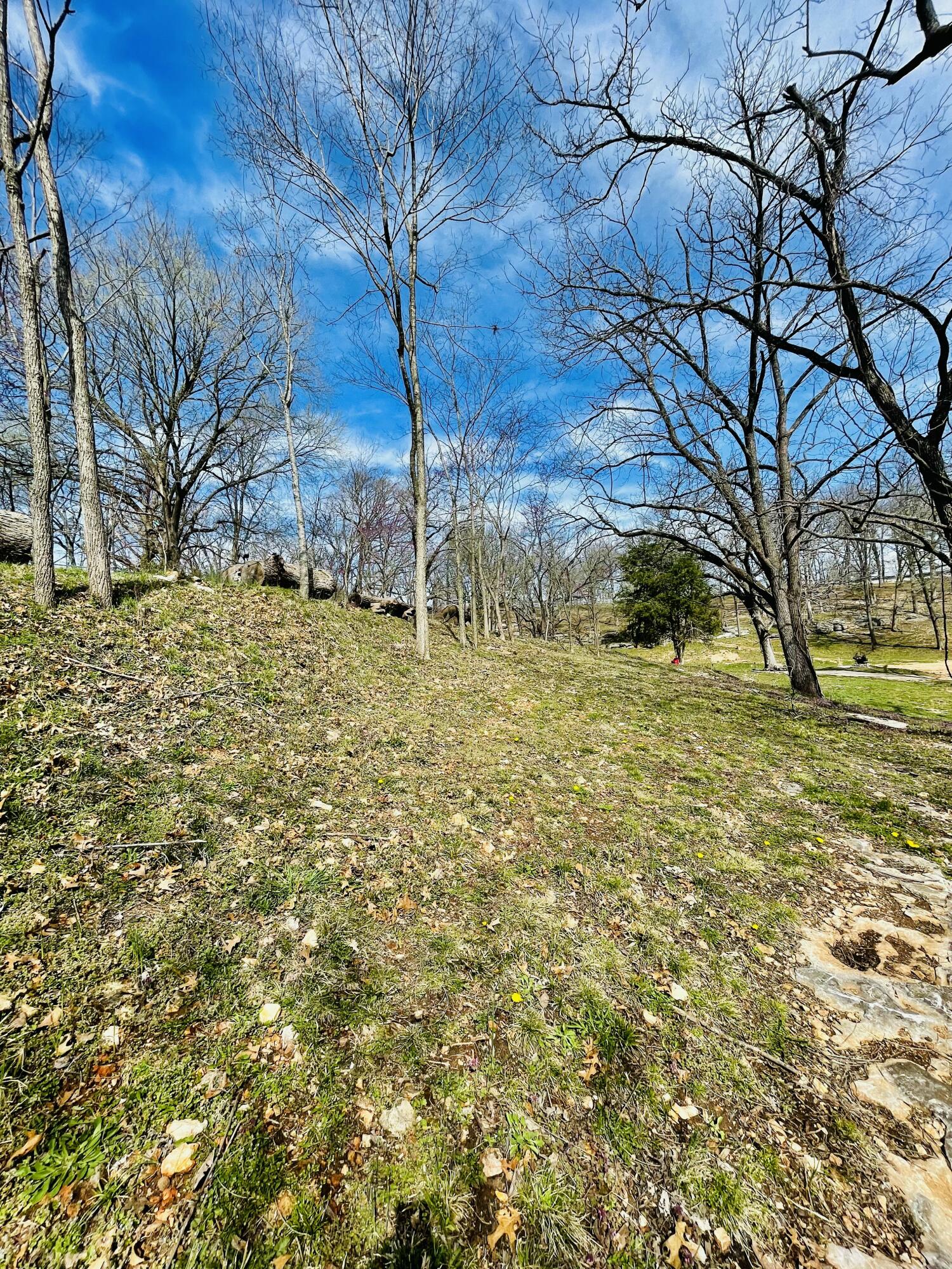 1433 East Warren Avenue Property Photo 11