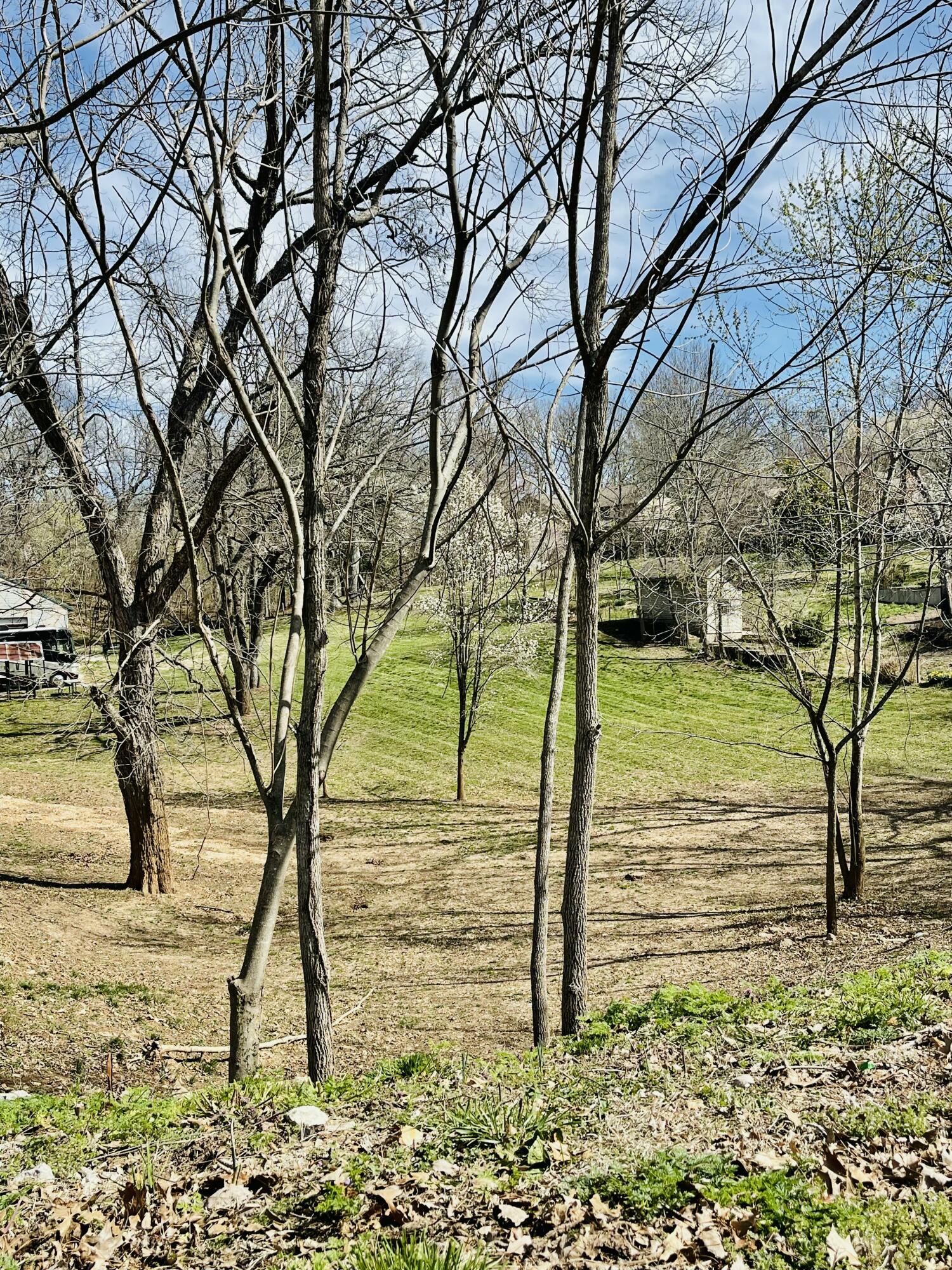 1433 East Warren Avenue Property Photo 12