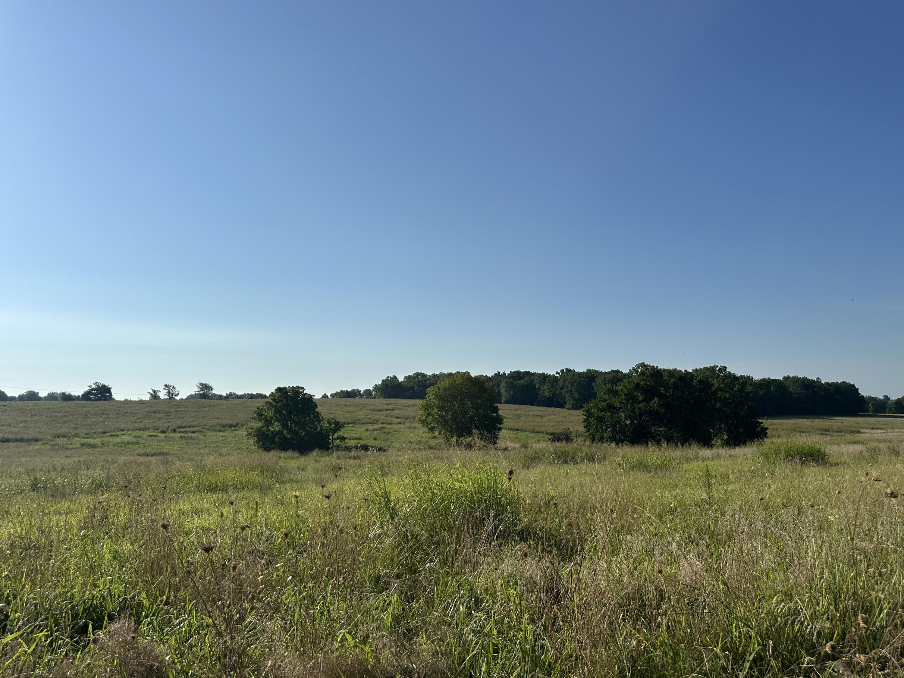 20119 Highway Z Property Photo 27