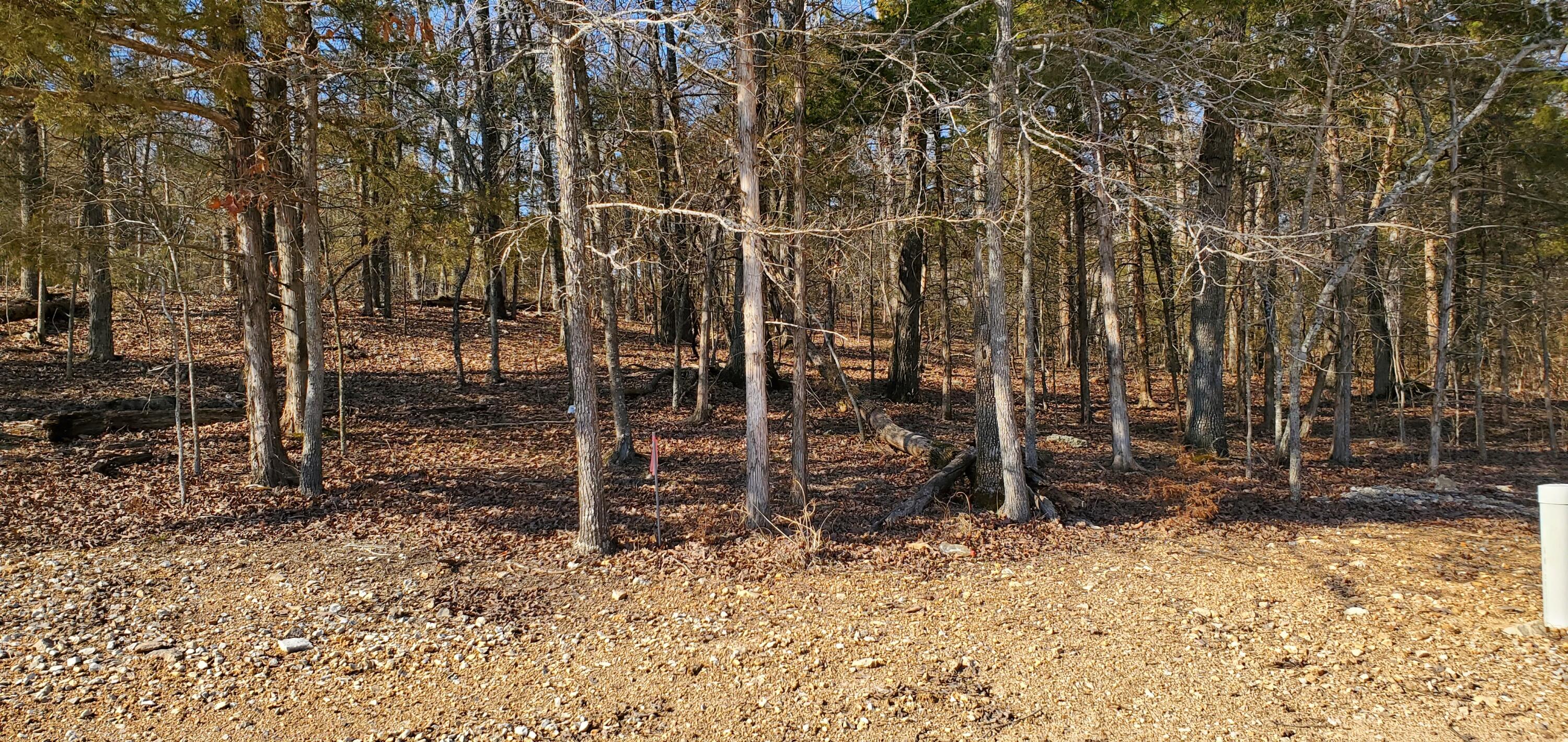 000 Lot 100 Summer Breeze Lane Property Photo