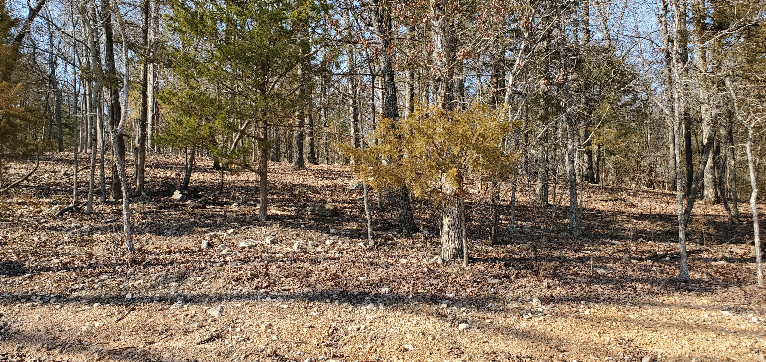 000 Lot 100 Summer Breeze Lane Property Photo 2