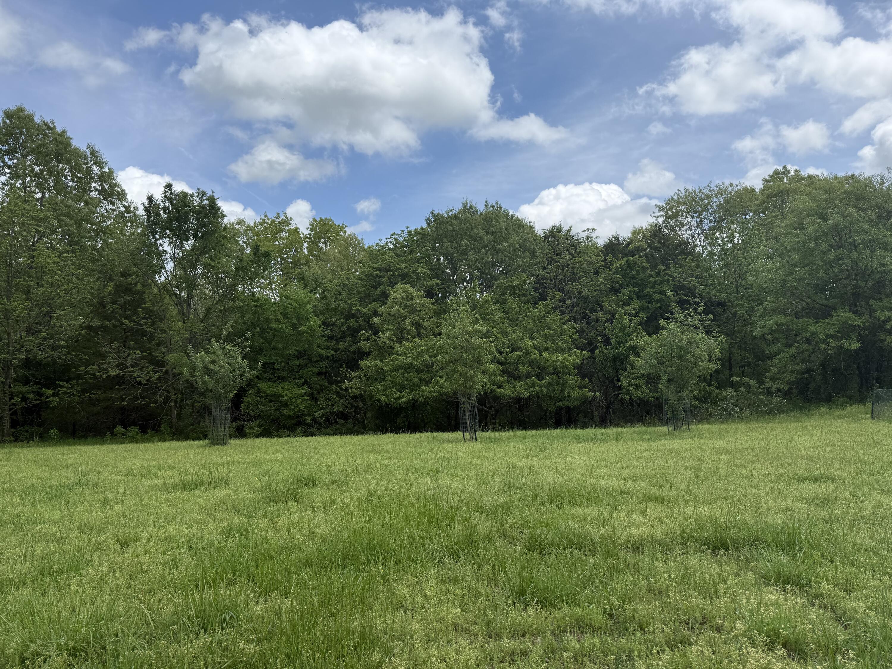 3450 Reno Hollow Road Property Photo 1