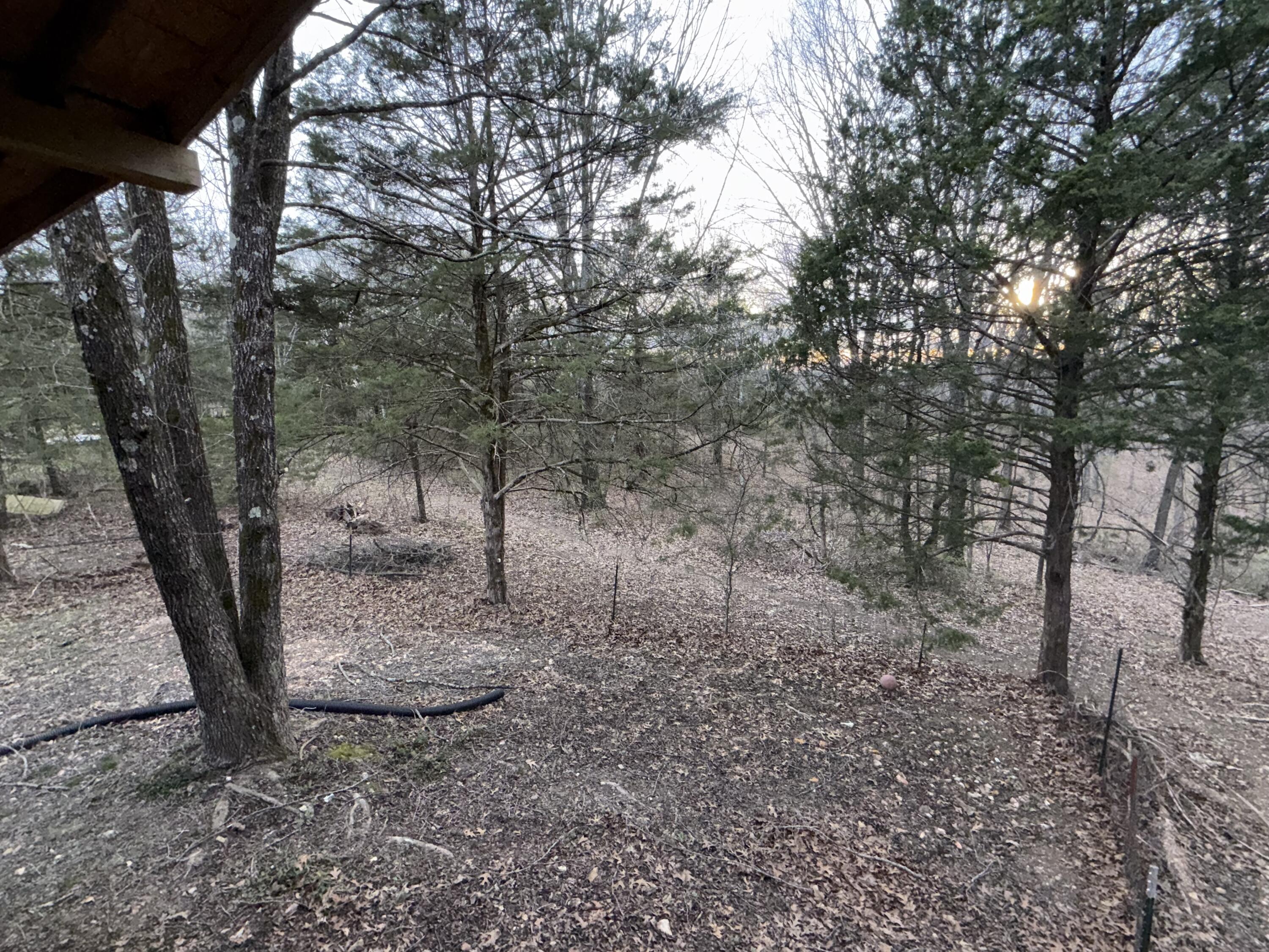 3450 Reno Hollow Road Property Photo 28