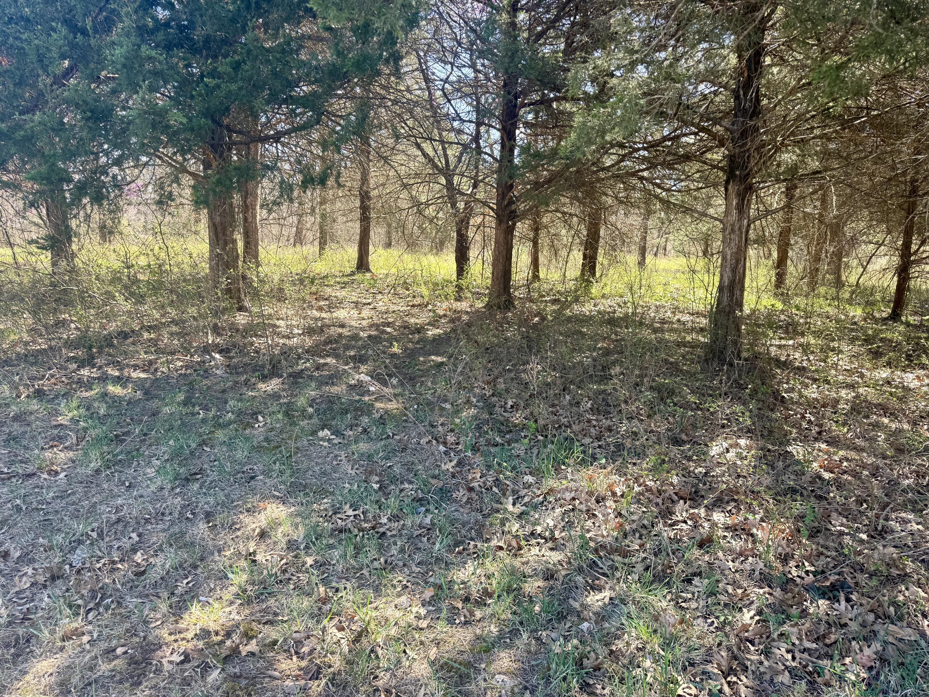 #35 E Dade 68 Property Photo 13
