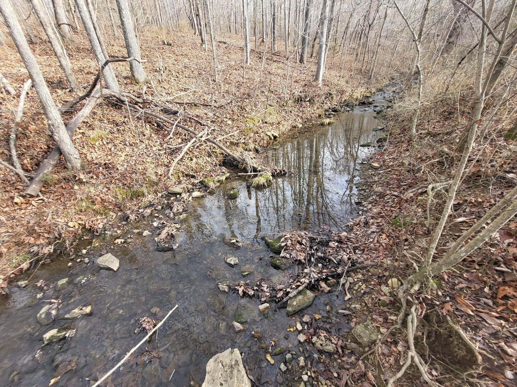 9088 13th Road Property Photo 17