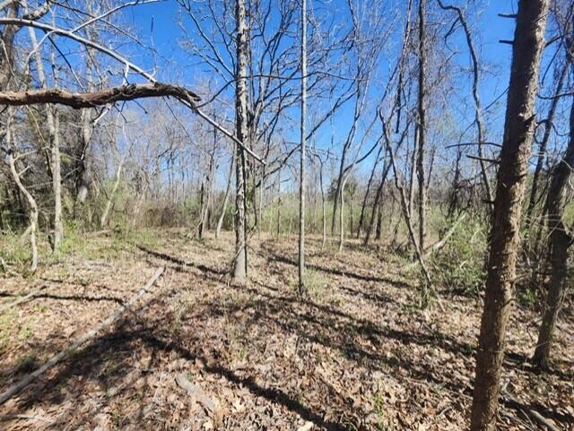 9088 13th Road Property Photo 22