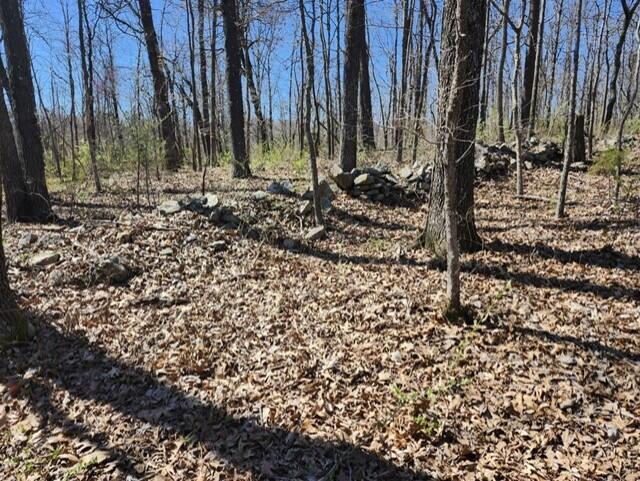 9088 13th Road Property Photo 23