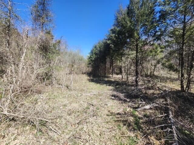 9088 13th Road Property Photo 24